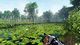 The Fisherman Fishing Planet PC, wersja cyfrowa 6
