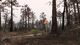 Spintires: Chernobyl Bundle PC, wersja cyfrowa 9