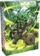 Pokemon Sword Shield talia Rillaboom 2