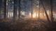 TheHunter: Call of the Wild - 2019 Edition Xbox One 14