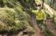 Salewa Kije trekkingowe Carbonarium Alp Speed 1