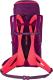 Plecak turystyczny Salewa Alp Trainer WS 30 l + 3 l 1