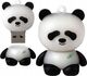 Pendrive Dr. Memory 16 GB 1