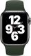 Apple Apple Pasek sportowy w kolorze cypryjskiej zieleni do koperty 44 mm 2