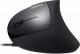 Mysz Perixx Perimice-513 L (11516) 1
