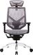 Krzesło biurowe Ergoline Fotel biurowy ERGOLINE Megrez SPC-MEGG szary 1