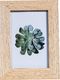 Ramka Pepco RAMKA MDF 10X15 CM kremowa 1