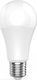 Woox SMART LED WI-FI ŻARÓWKA KOLOROWA RGBW 10W E27 806LM 2