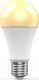 Woox SMART LED WI-FI ŻARÓWKA KOLOROWA RGBW 10W E27 806LM 4
