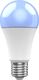 Woox SMART LED WI-FI ŻARÓWKA KOLOROWA RGBW 10W E27 806LM 5