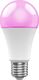 Woox SMART LED WI-FI ŻARÓWKA KOLOROWA RGBW 10W E27 806LM 6