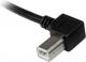 Kabel USB StarTech USB-A - USB-B 2 m Czarny (USBAB2ML) 1
