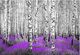 DecoNest Fototapeta - Purpurowy azyl - 350X245 1
