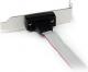 StarTech DB-9 - IDC-10, 0.4m, Szary (PLATE9M16LP) 2