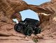 Revell Control 24463 RC Car Monster Truck Mercedes G-Class, 2,4 GHz, akumulator litowo-jonowy, zdalnie sterowany samochód metal gear, 28 cm 5
