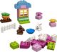 LEGO LEGO Duplo Bricks Co. 4623 - Pudełko z klockami dla dziewczyn 2