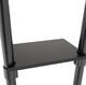 Neomounts Stojak podłogowy NS-M1250BLACK 37'' - 70'' 13