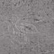 vidaXL Panele podłogowe PVC, 5,02 m, 2 mm, samoprzylepne, cementowe 3
