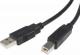 Kabel USB Sharkoon USB-A - USB-B 1 m Czarny (4044951015252) 2