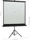 Ekran do projektora vidaXL 51344 8