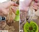 Dexas Dexas Mudbuster Dog Paw Cleaner Large - silikonowy czyścik do łap, dla dużych psów zielony 4