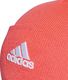Adidas Czapka adidas Logo Woolie OSFW FT8844 FT8844 różowy OSFW 3