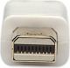 Kabel Techly DisplayPort Mini - DisplayPort 1m biały (305229) 1