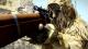 Sniper Elite III Ultimate Edition Xbox 360 6