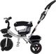 Funfit Rowerek trójkołowy dla dzieci FUNFIT KIDS TWIST uniwersalny (2675) 5