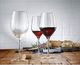 WMF Zestaw do czerwonego wina WMF Easy Plus z 6 kieliszkami, 450 ml, szkło kryształowe, można myć w zmywarce, przezroczysty 4