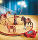 Playmobil Playmobil 9044 Roncalli Circus (Circus) szkolenie koni 2