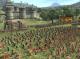 PKK Total War Medieval 2 Złota Edycja PC 5