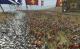 PKK Total War Medieval 2 Złota Edycja PC 8