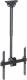 Techly Uchwyt sufitowy ICA-CPLB 944S 32'' - 55'' 1