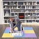 One Fitness Mata ochronna MP10 180 cm x 180 cm x 1 cm wielokolorowa 4