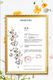 Kingxbar Kingxbar iPhone 11 Pro Max Blossom Series-Gardenia 7