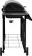 vidaXL 3053628 Grill ogrodowy gazowy 12 kW 37.5 cm x 63.5 cm 3