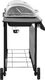vidaXL 3053630 Grill ogrodowy gazowy 12 kW 37.5 cm x 63.5 cm 3