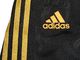 Adidas Spodnie Adidas F50 WV PANT F83870 164 2