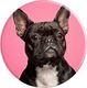CJ Grips Buldog francuski - PopSockets Wysuwana podstawa i uchwyt do smartfonów i tabletów 3