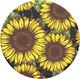 PopSockets Pop na palec Sunflower Power Gen. 2 800978 2