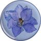 PopSockets Pop na palec Pressed Flower Larkspur Gen. 2 801240 2