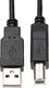 Kabel USB Keple Kabel Keple USB B kompatybilny z kontrolerami DJ Midi, klawiaturami, samplerami, padami efektów, syntezatorami Numark, Pioneer, Native Instruments, Traktor, Denon, Akai do MacBook Dell HP - 3m 3