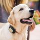 Vodafone V-Pet Kippy firmy Vodafone - lokalizator zwierząt domowych Lokalizator GPS dla zwierząt domowych + 3-miesięczny kupon serwisowy (bezpłatny pakiet danych) 5