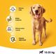 Pedigree Adult z drobiem i warzywami 2,6 kg 2