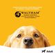 Pedigree Adult z drobiem i warzywami 2,6 kg 4