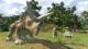 Lego Jurassic World PC 5