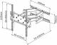 Techly Uchwyt ścienny ICA-PLB 147M 23'' - 55'' 1
