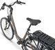 Rower elektryczny EcoBike Rower elektryczny City L szary (37972) 11