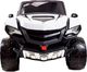 Super-Toys MEGA BUGGY D-MAX 4X4, FUNKCJA BUJANIA, AMORTYZATORY, WIELOFUNKCYJNY PILOT/FB6678 16